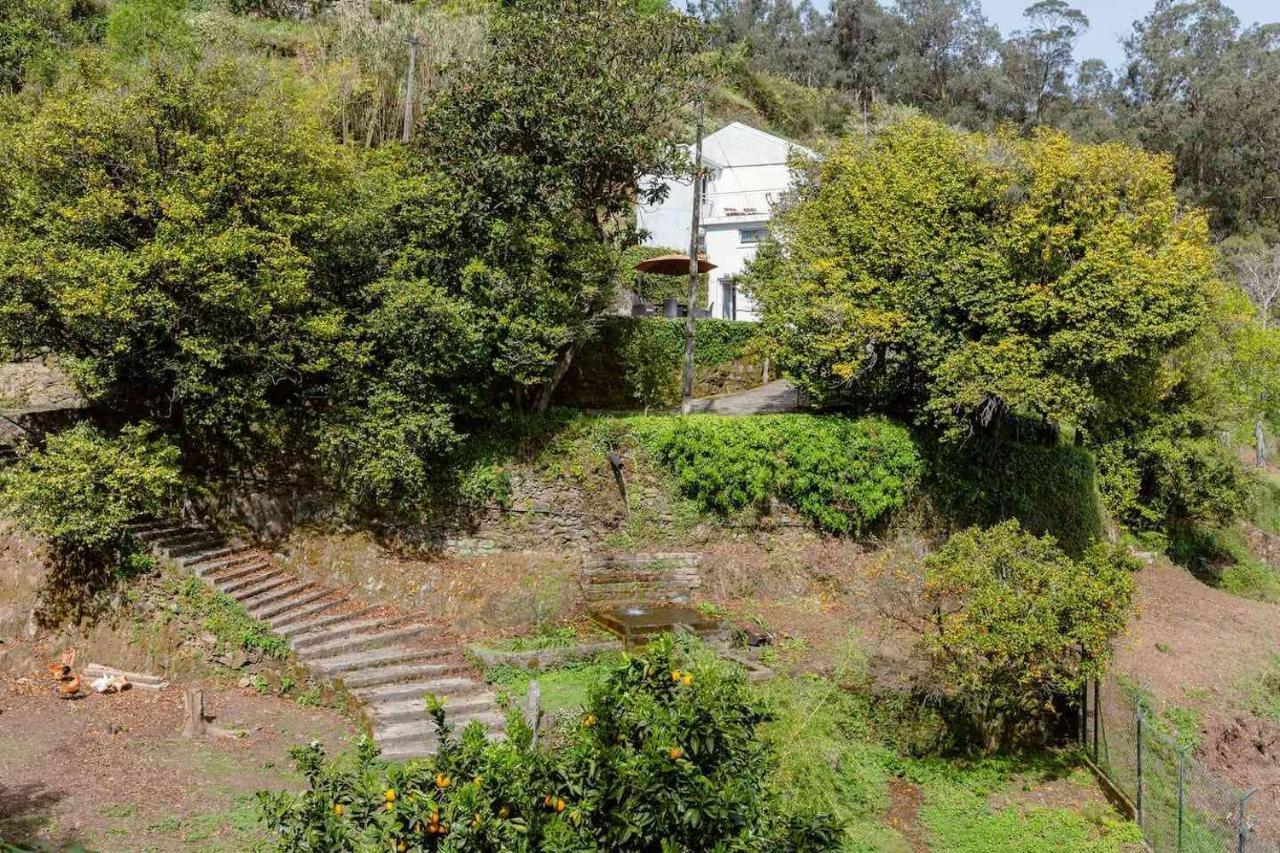 Quinta Da Agraceira Casa Do Caseiro 빌라노바데가이아 외부 사진